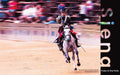Carabinieri officer on horseback in ceremonial uniform charging across the Campo at the Palio di Siena