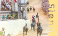 Horses and riders navigating the San Martino corner at the Palio di Siena with the historic cathedral facade in the background
