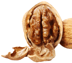 Vianden Gift Basket – Walnuts, Hunnig Honey & Small Plush Toy